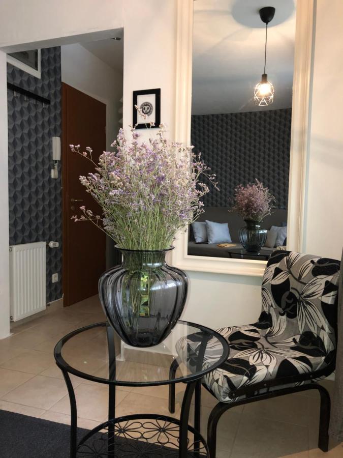 Downtown Rose Garden Apartments Whit Garage Opcional Budapeste Exterior foto